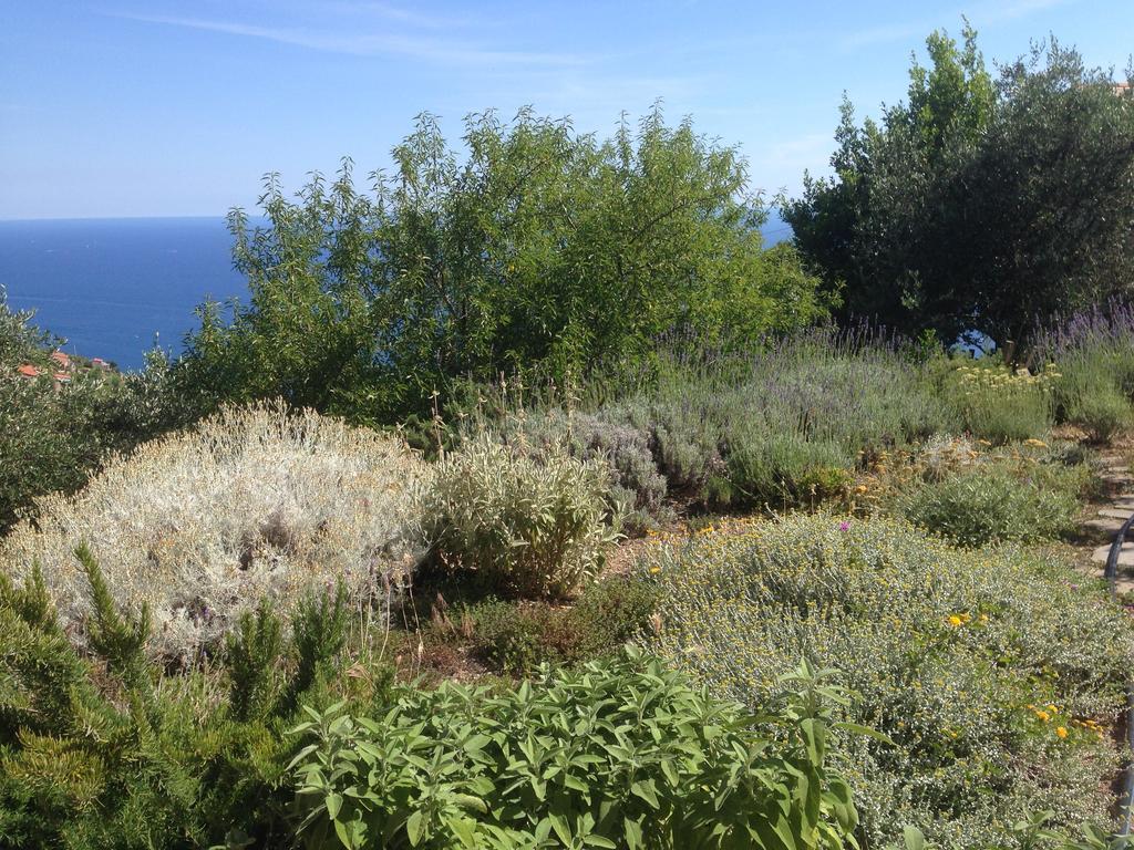 Il Nettare Hotel Riomaggiore Kültér fotó