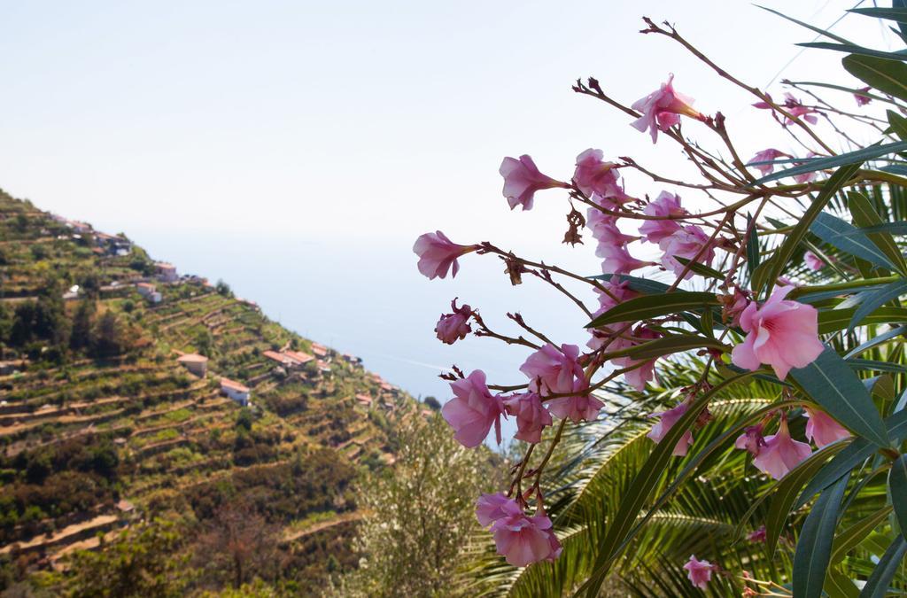 Il Nettare Hotel Riomaggiore Kültér fotó