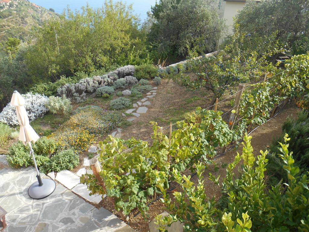 Il Nettare Hotel Riomaggiore Kültér fotó